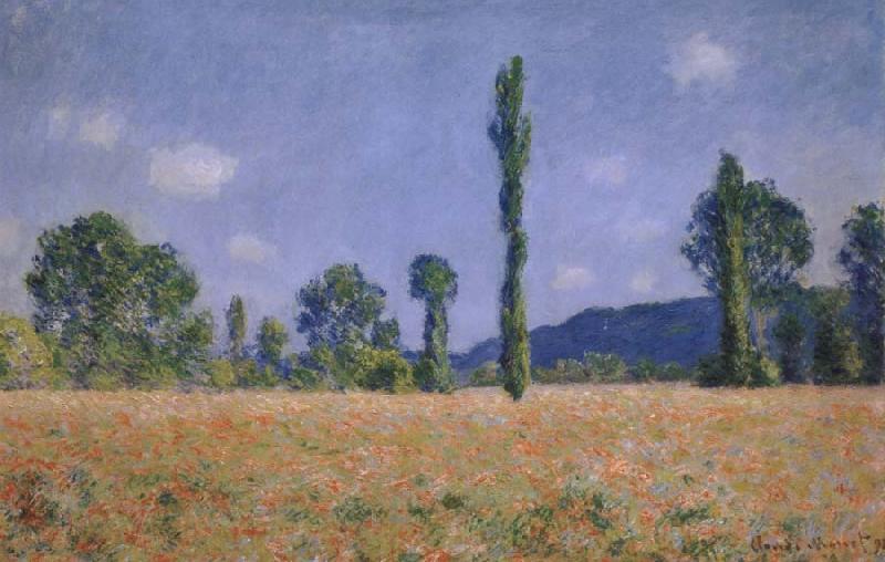 Claude Monet Poppy Field